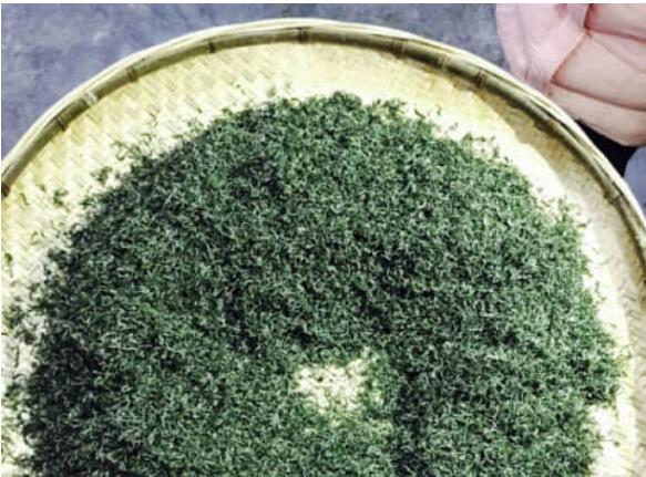 保靖黄金茶